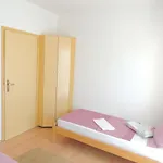 Sutic Apartment Promajna