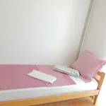 Sutic Apartment Promajna